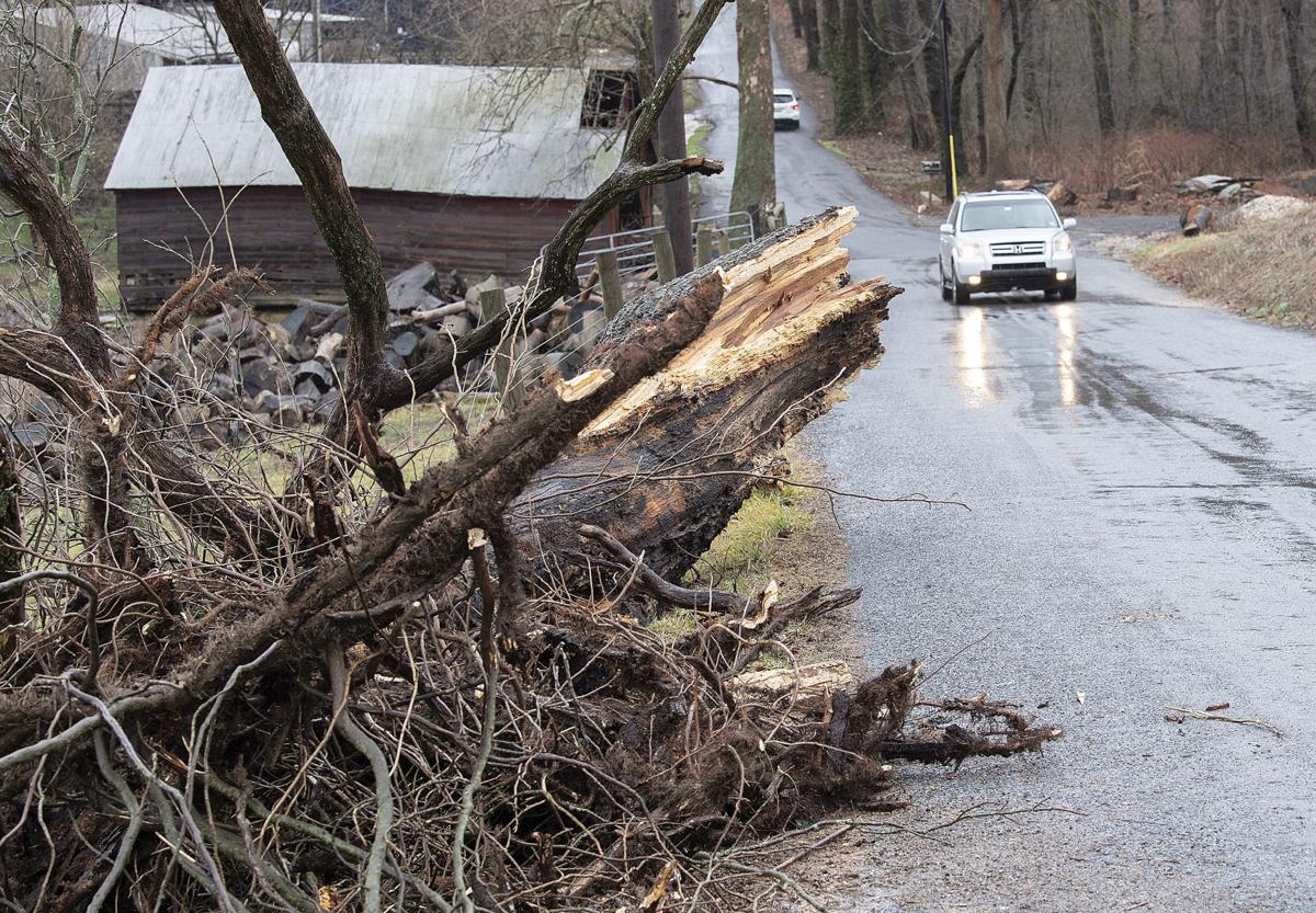 Monrovia Storm Damage