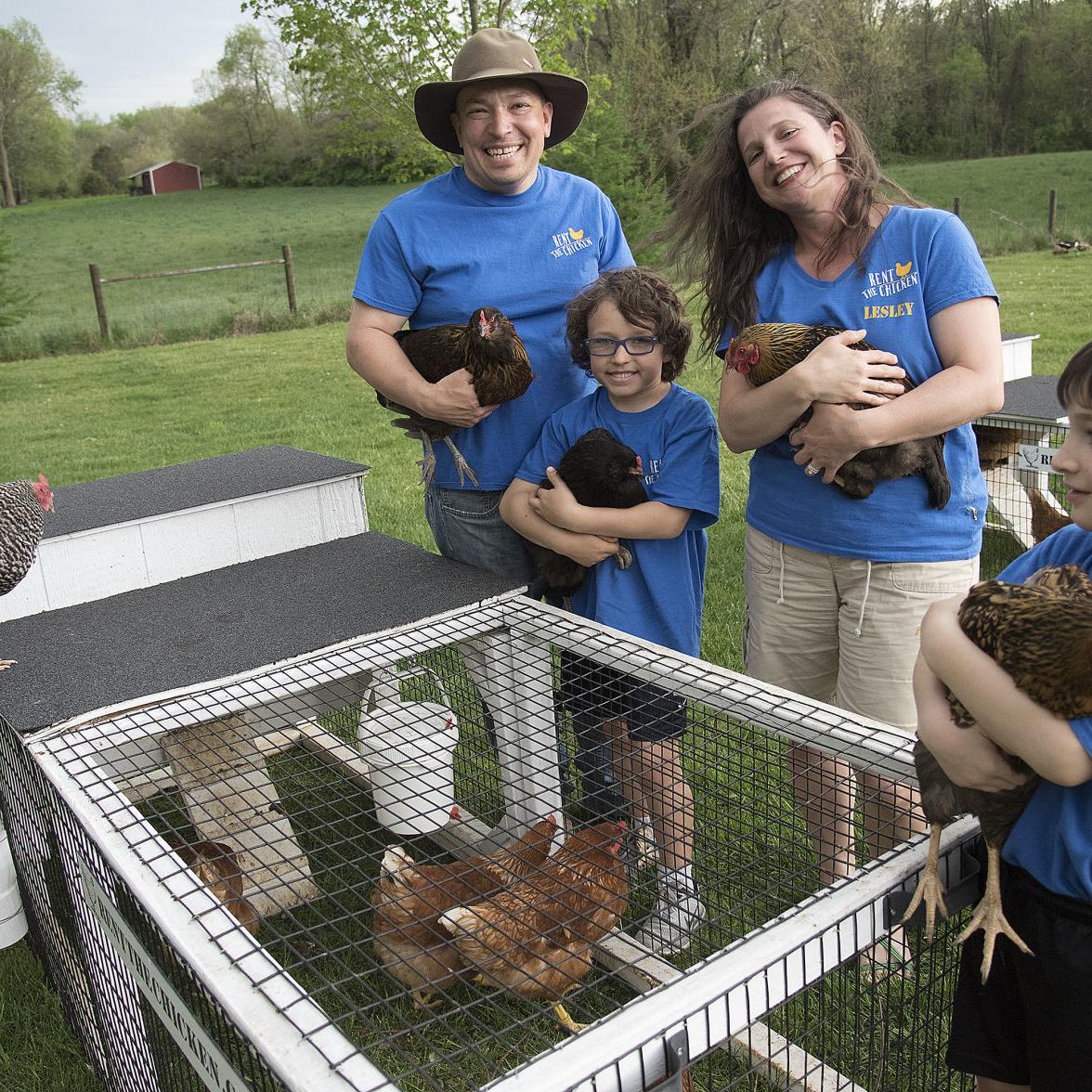 5 Lessons We Can Learn from Chicken Moms - The Cape Coop