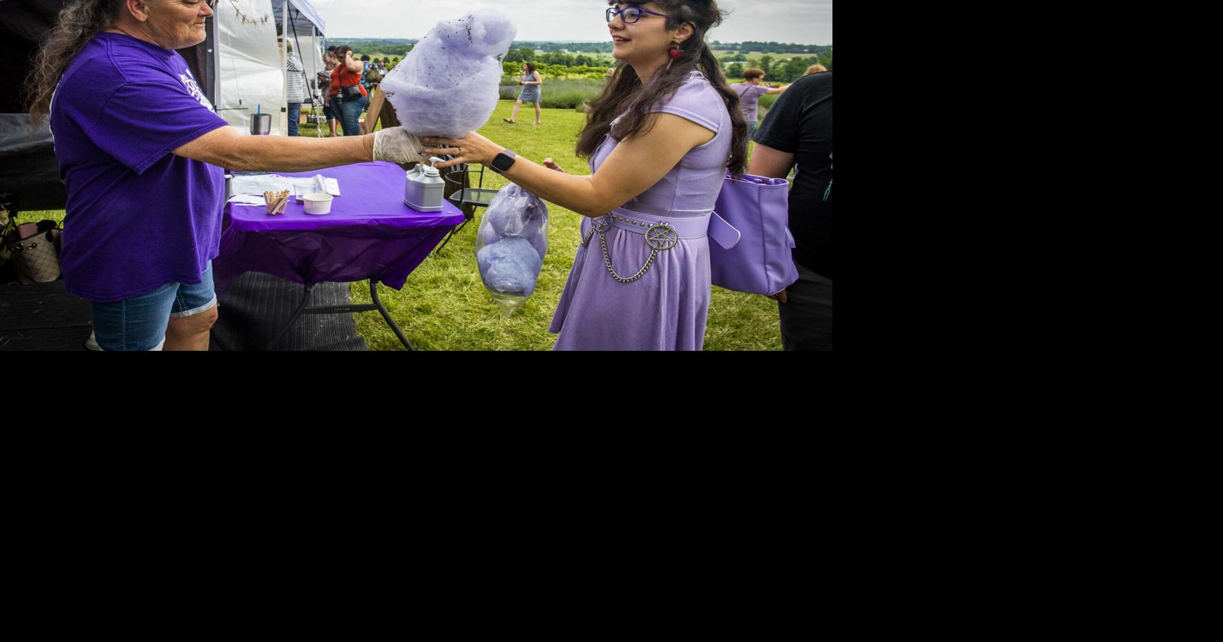 Hello, Frederick 2024 - Lavender Festival | Frederick County ...