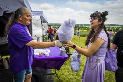 Lavender Festival