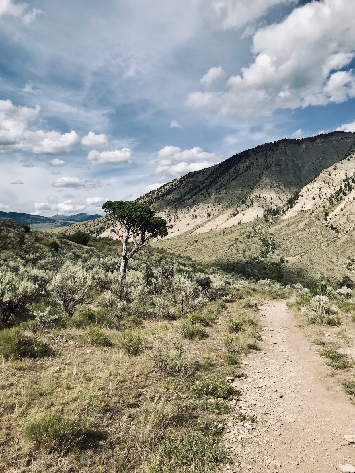 Lava creek trail outlet yellowstone