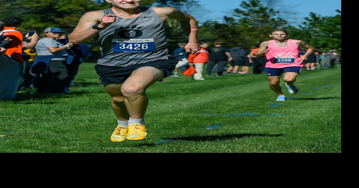 Bears' Salter completes transformation from green freshman to champion senior at FCPS cross-country championships