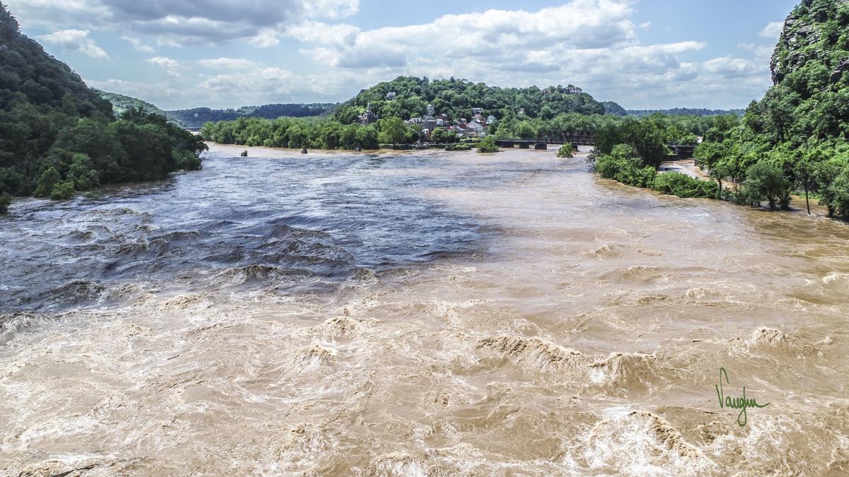 Potomac River water level reaches over 25 feet on Monday Public