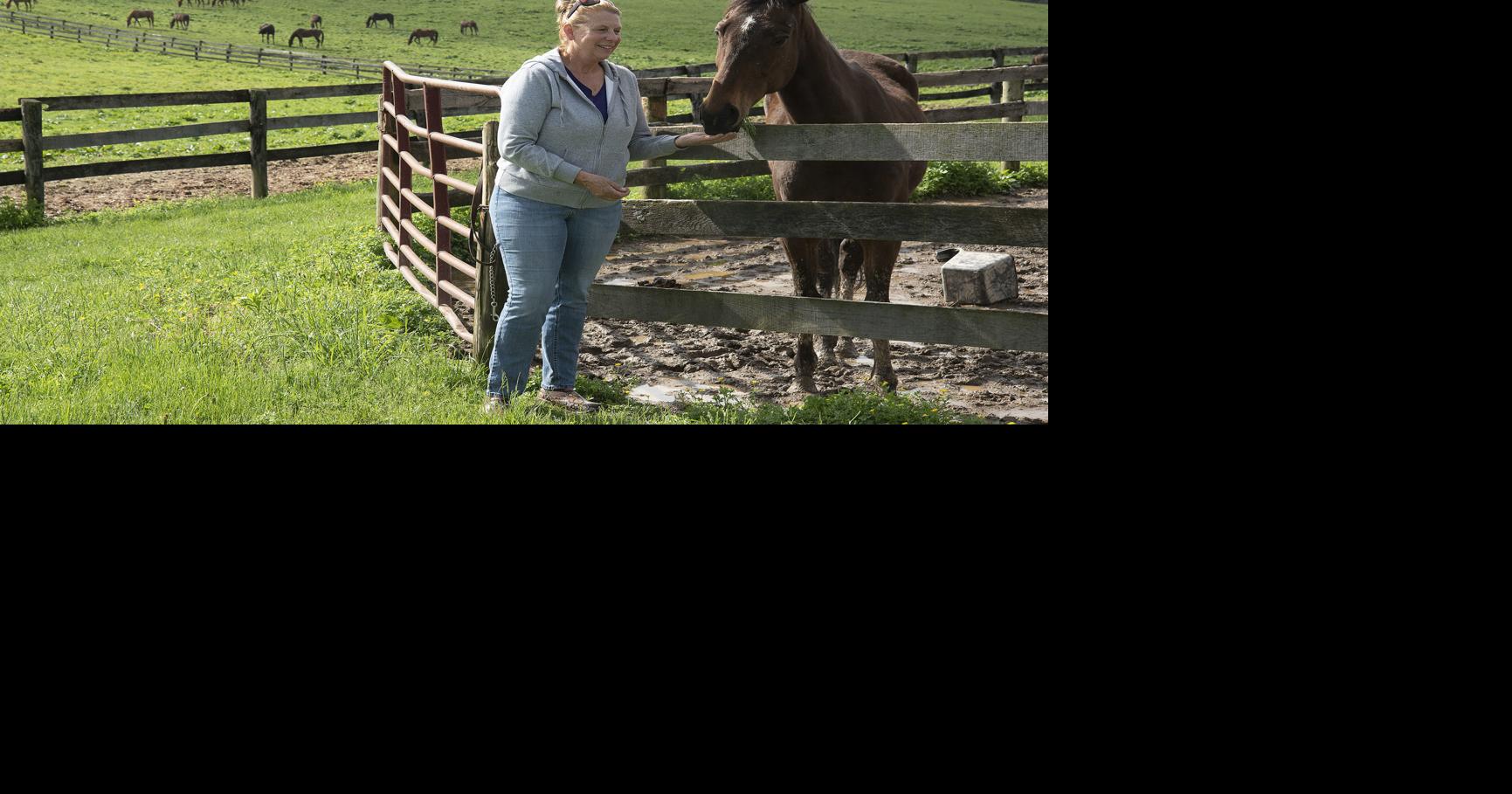 A reinvigorated horse farm tour draws focus to Maryland's historic ...
