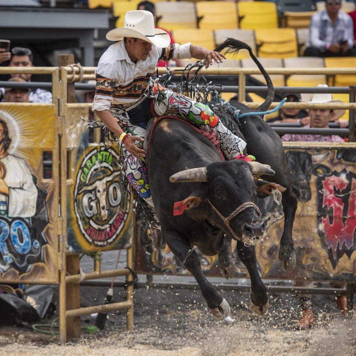 The Biggest Belts, Hats, and Logos We Saw at MSG's Bull-Riding Rodeo