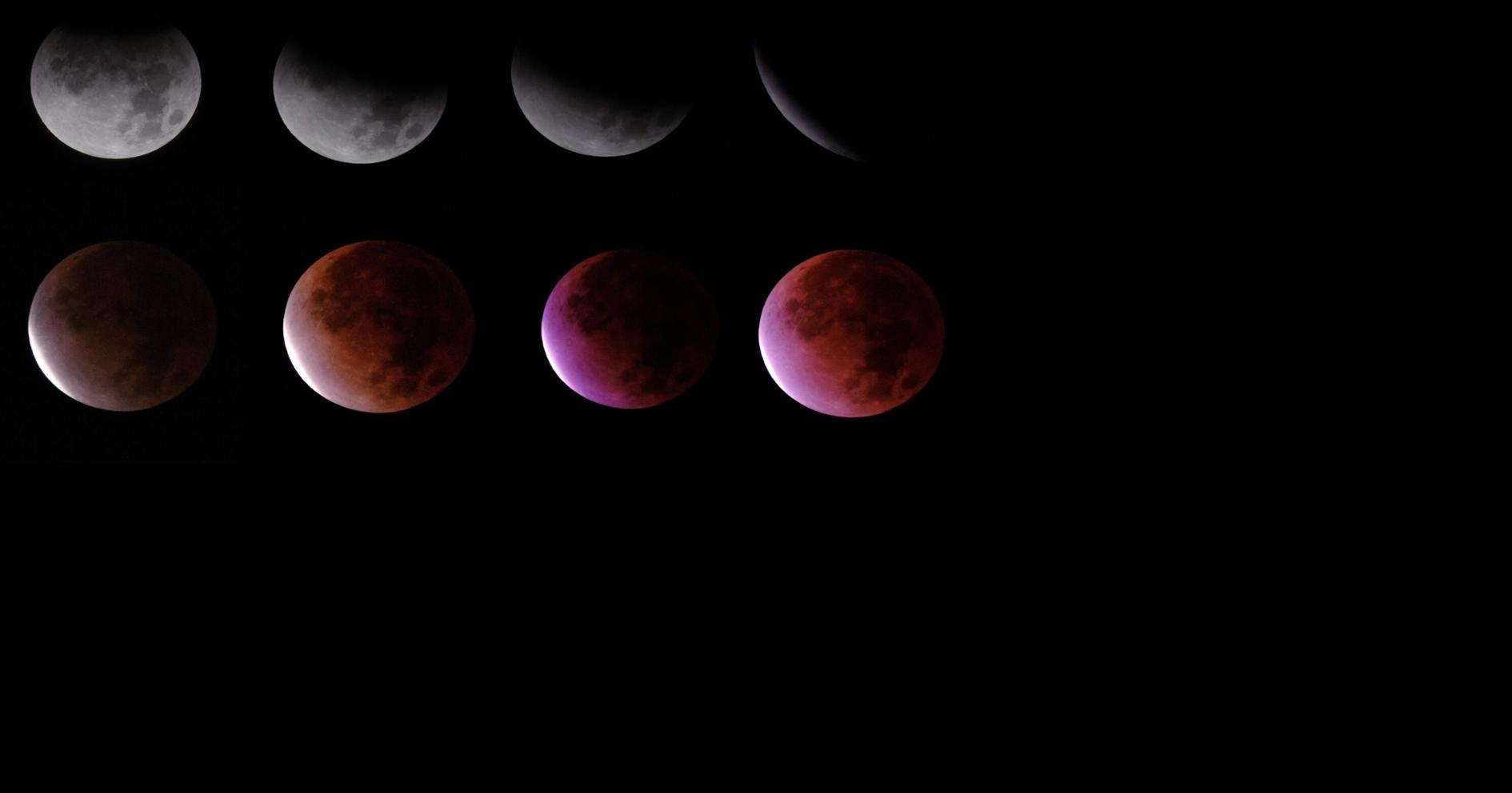 Full Moon & Eclipse Psychic Fair | Other | fredericknewspost.com