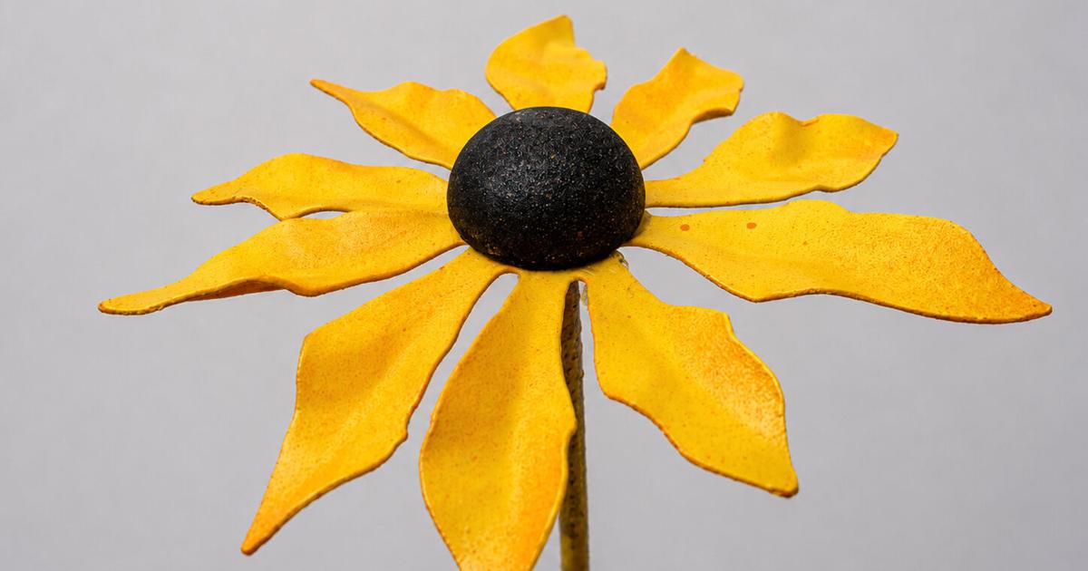 Black-eyed Susan installation arrives at Frederick City Hall