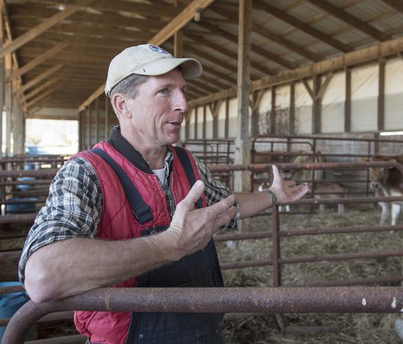 Frederick's Farms: Father-son team find future in dairy on ...