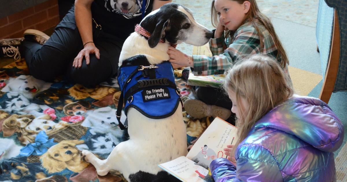 Read To Dogs Children practice literacy skills by reading to dogs at library event ...