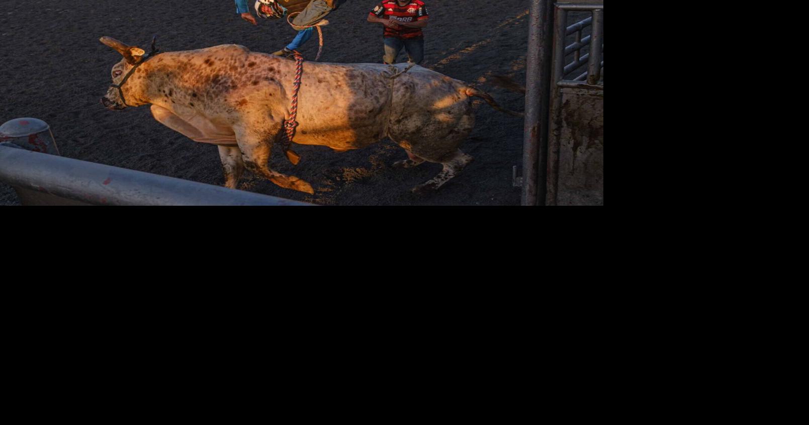 J Bar W Ranch in Union Bridge kicks off its ‘Battle of the Beast’ bull ...