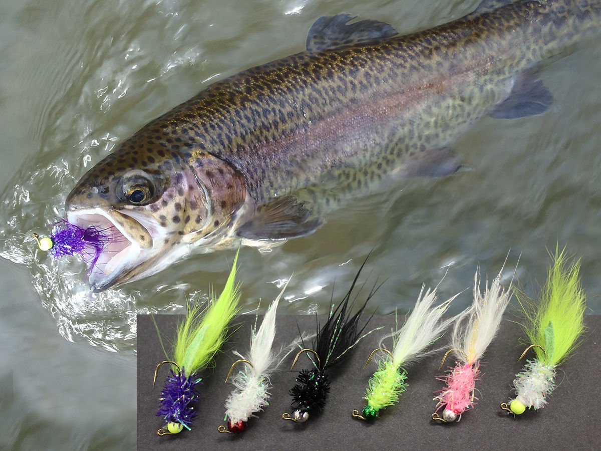 Jigs for store trout