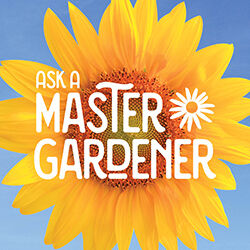 North Carroll Ask A Master Gardener | Classes, Workshops & Lectures ...