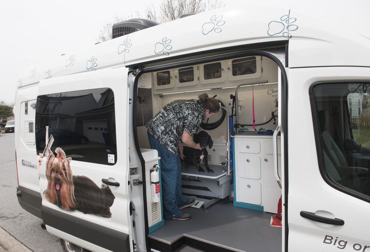Mobile Pet Groomer Makes Career Of Lifelong Love Of Dogs Animals Economy Business Fredericknewspost Com