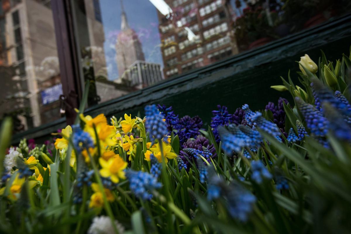 New York�s flower district is next as Manhattan�s old