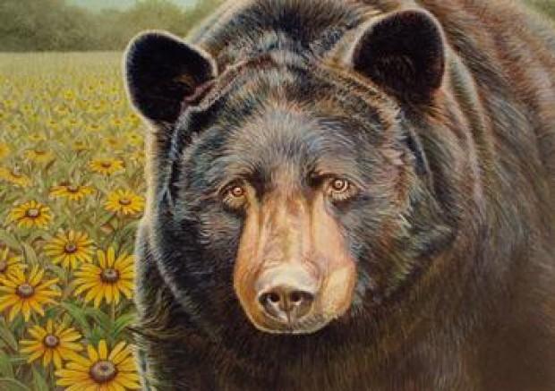 Artist S Black Bear Painting Chosen For New State Stamp