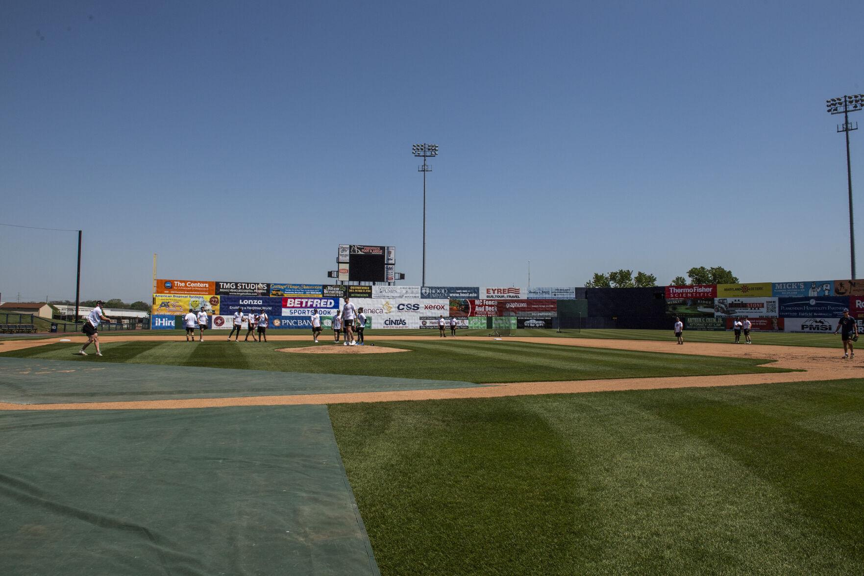 Photos: Frederick Atlantic League Baseball Team Practice, Baseball