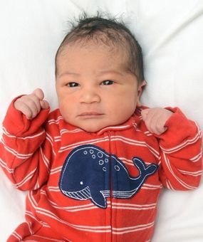 Dorsey III