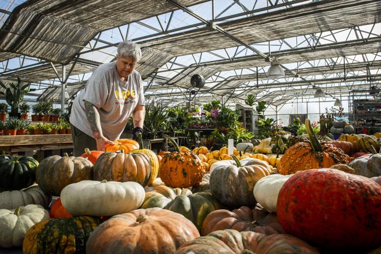 Thanksgiving Farms