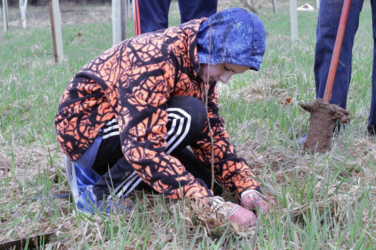 Middletown High students plant hundreds of trees at Myersville park Education