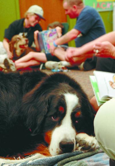 Gabe The Dog Time To Say Goodbye