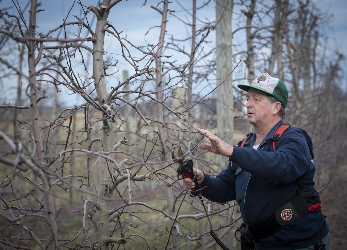 Md Farmers Fight To Keep Pesticide In Arsenal Despite Research On Toxic Effects Agriculture Fredericknewspost Com