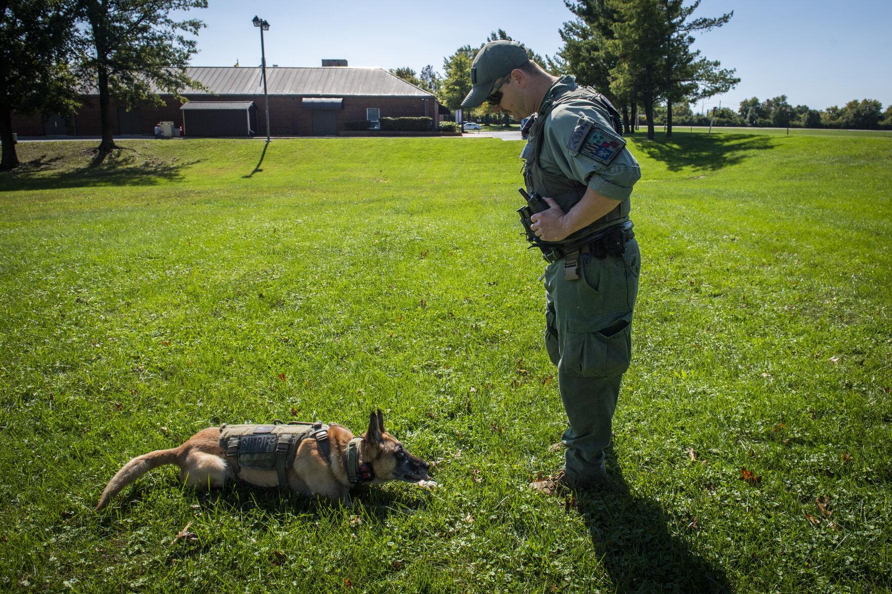 can police dogs smell alcohol