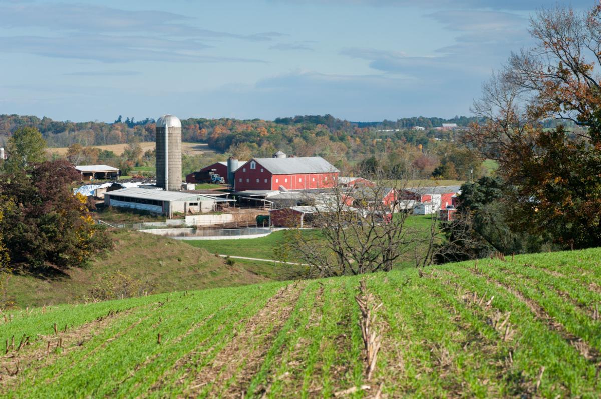 Union Bridge farm honored as Md. Dairy of Distinction Agriculture