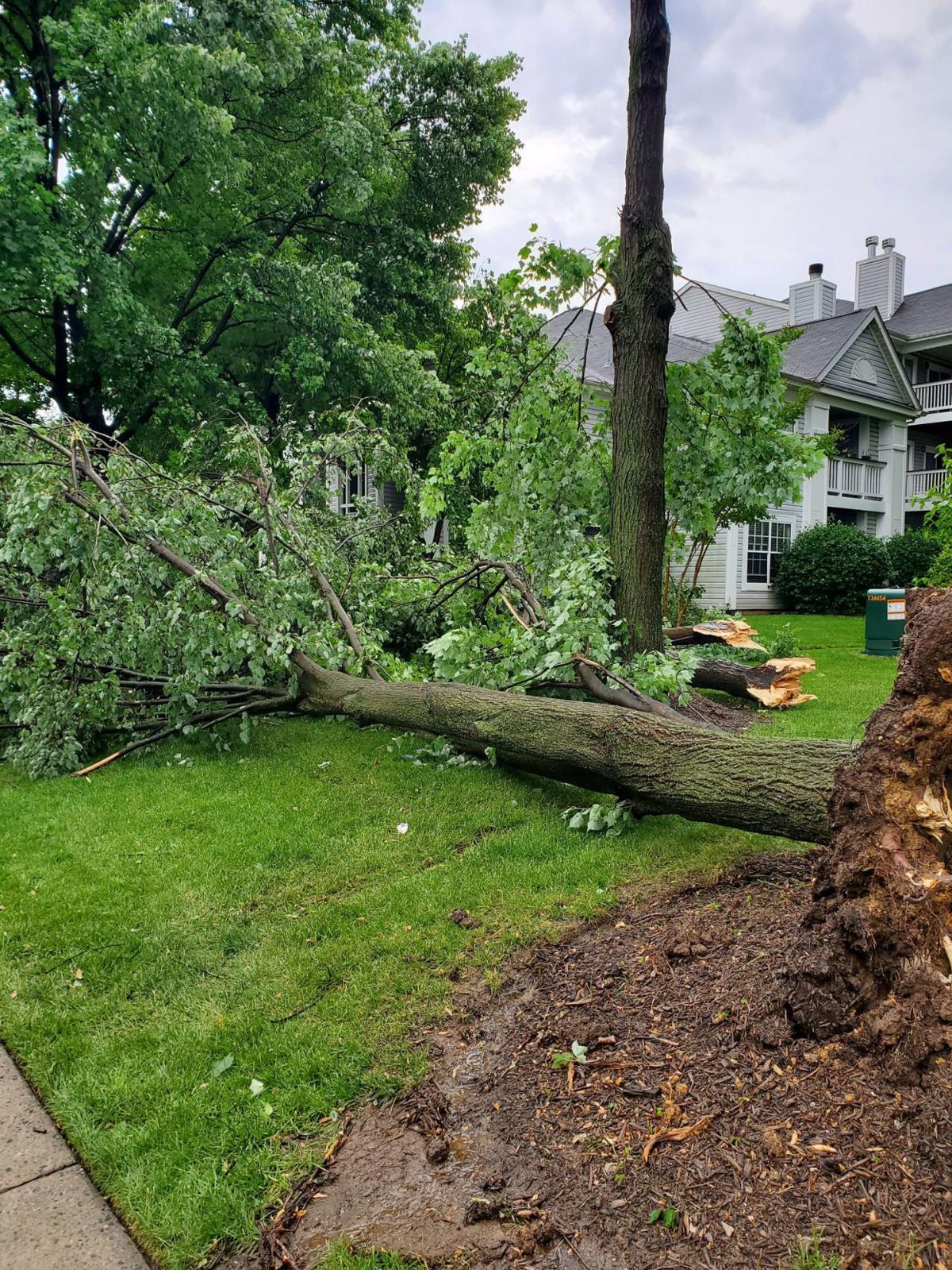 Severe thunderstorms cause damage, flooding in Frederick County Public