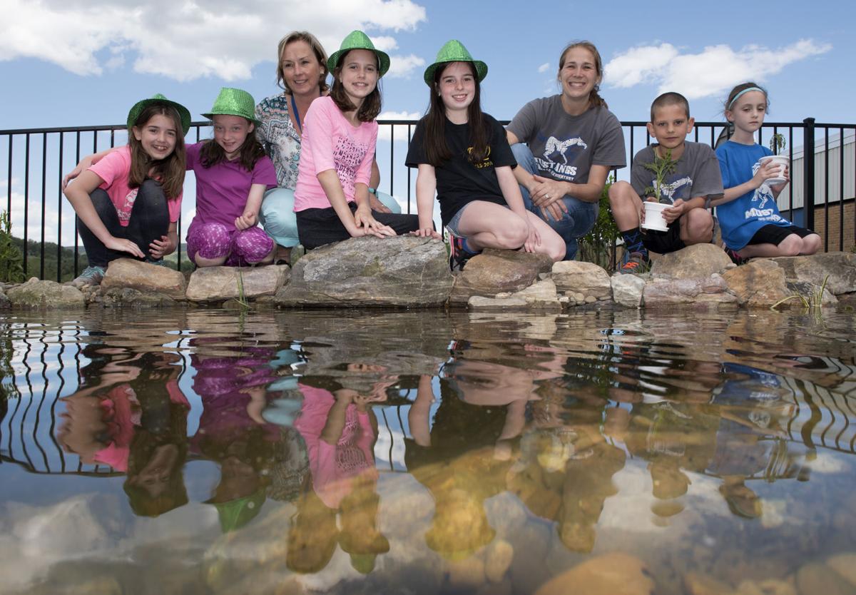 Myersville Elementary School earns Green School certification Elementary