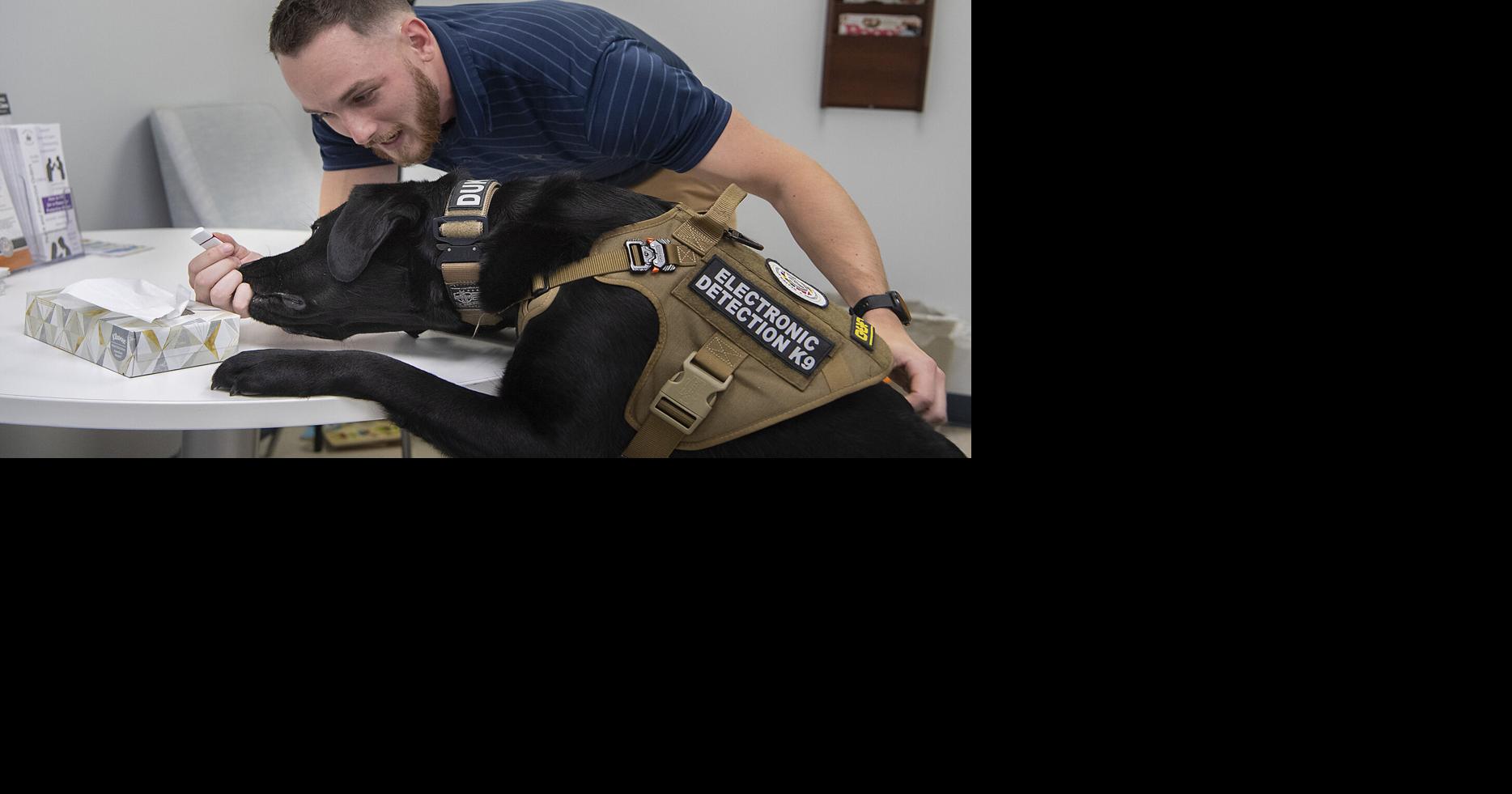 Electronicssniffing K9 joins State's Attorney's Office Cops And