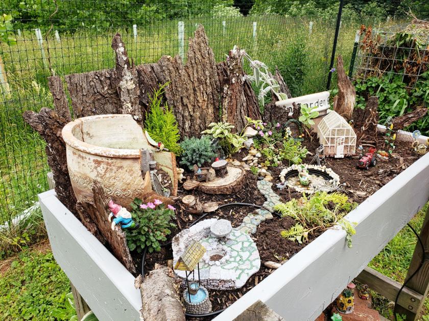 Pic 3 2019 6 5 Tabletopsucculentgarden Jpg Fredericknewspost Com