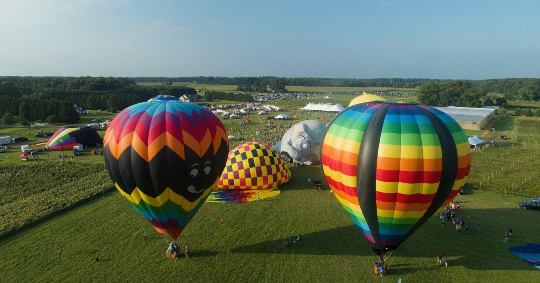 Chesapeake Bay Balloon Festival - Vimarsana News
