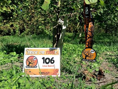 Tree Planting Organization To Hold Virtual 5k For Trees - 