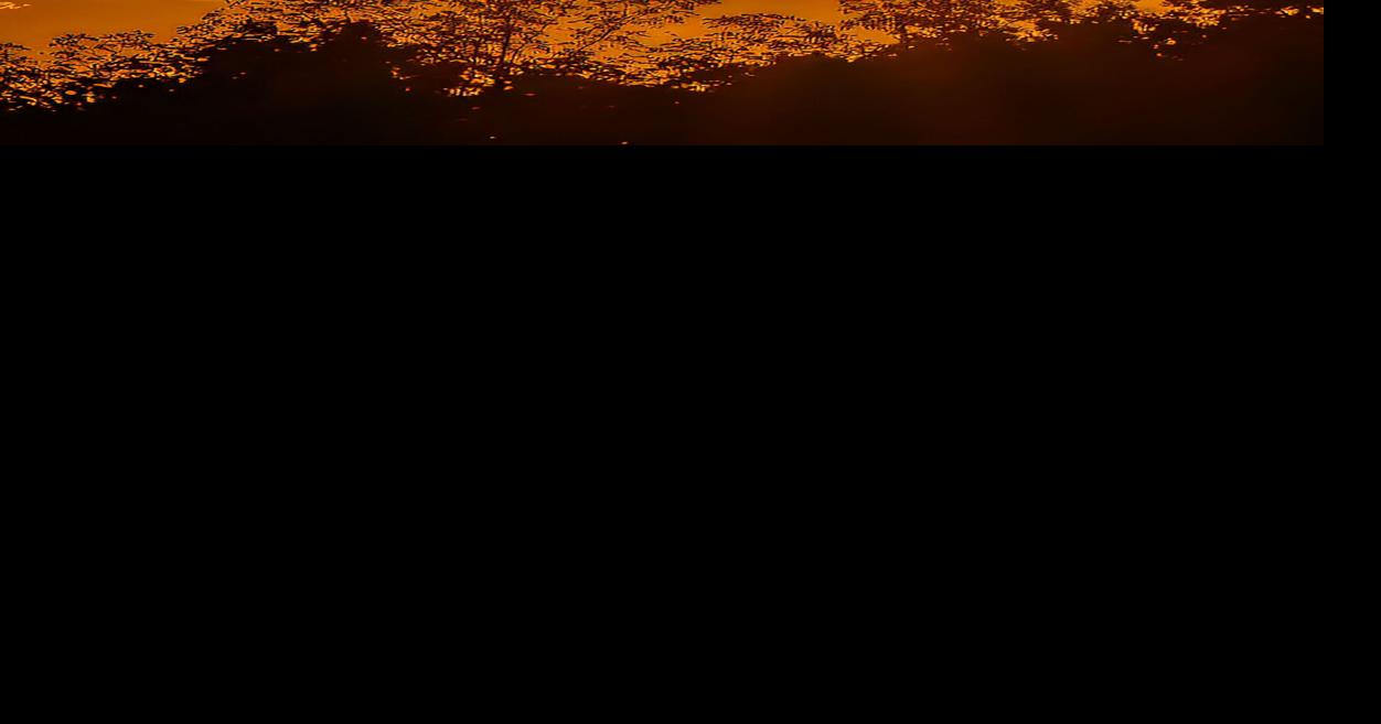 Fire in the sky
