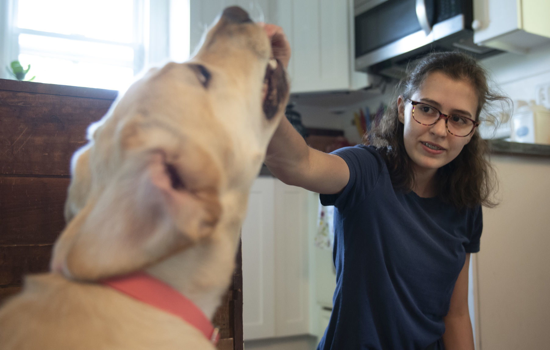 guide dog foundation umd