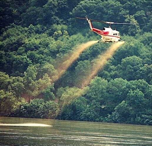 Harpers Ferry Helicopter Sprays to Tackle Black Fly Nuisance