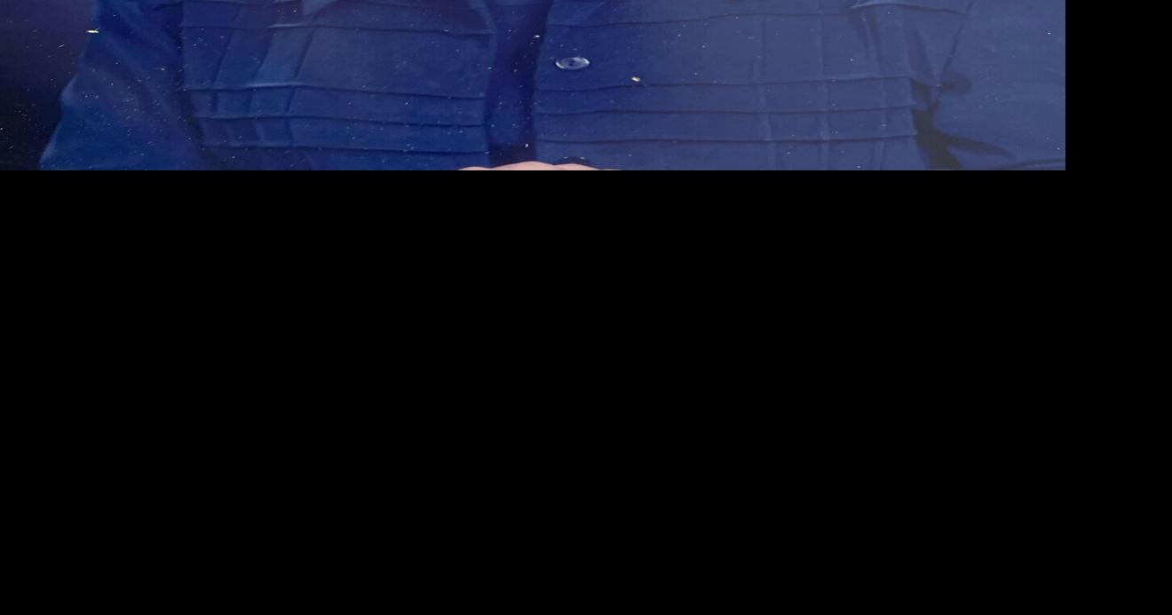 Eula C. Wilkes Obituaries