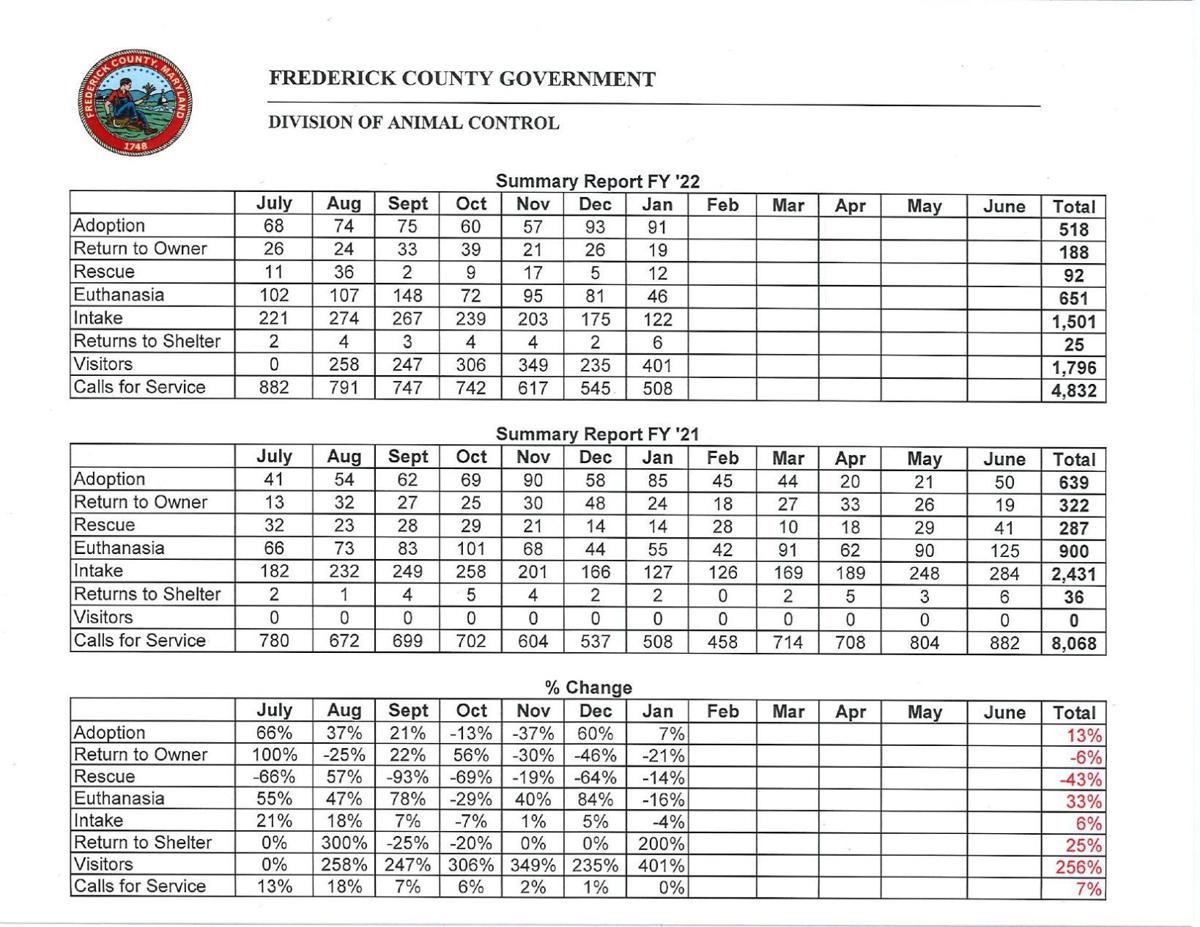 Adoptions on the rise, but not back to prepandemic levels at Frederick