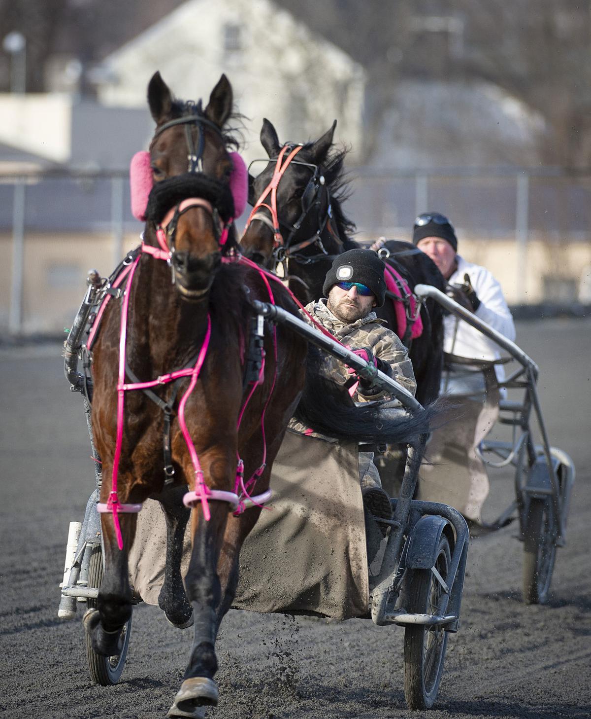 No horsing around: Race day approaches for new harness racer | News ...
