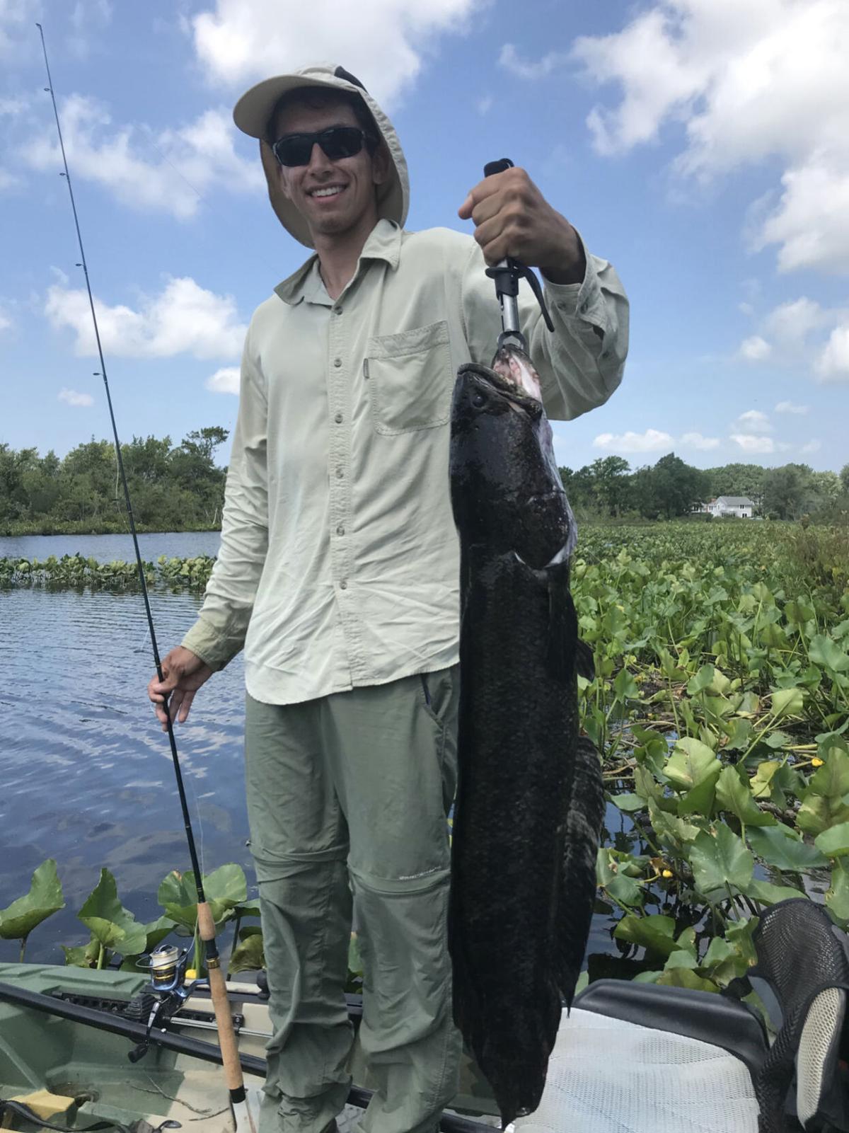 Today's Sportsman: Casting for snakeheads on the Eastern ...