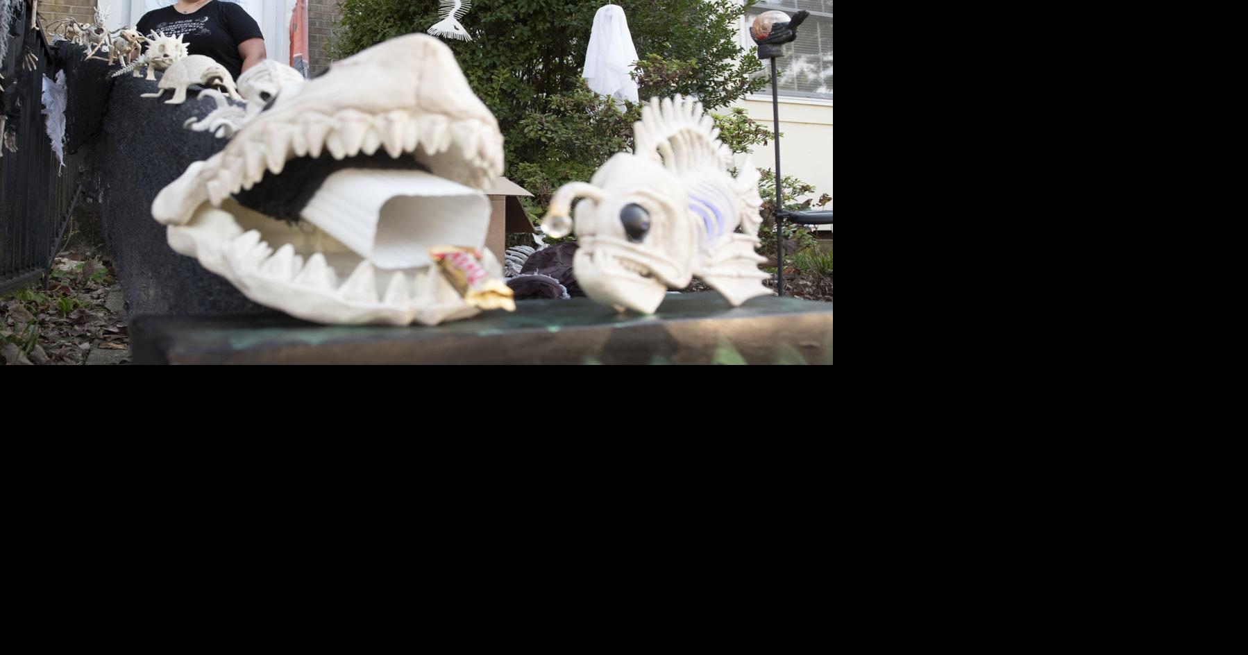 Trickortreat in the age of COVID How Frederick families are adapting