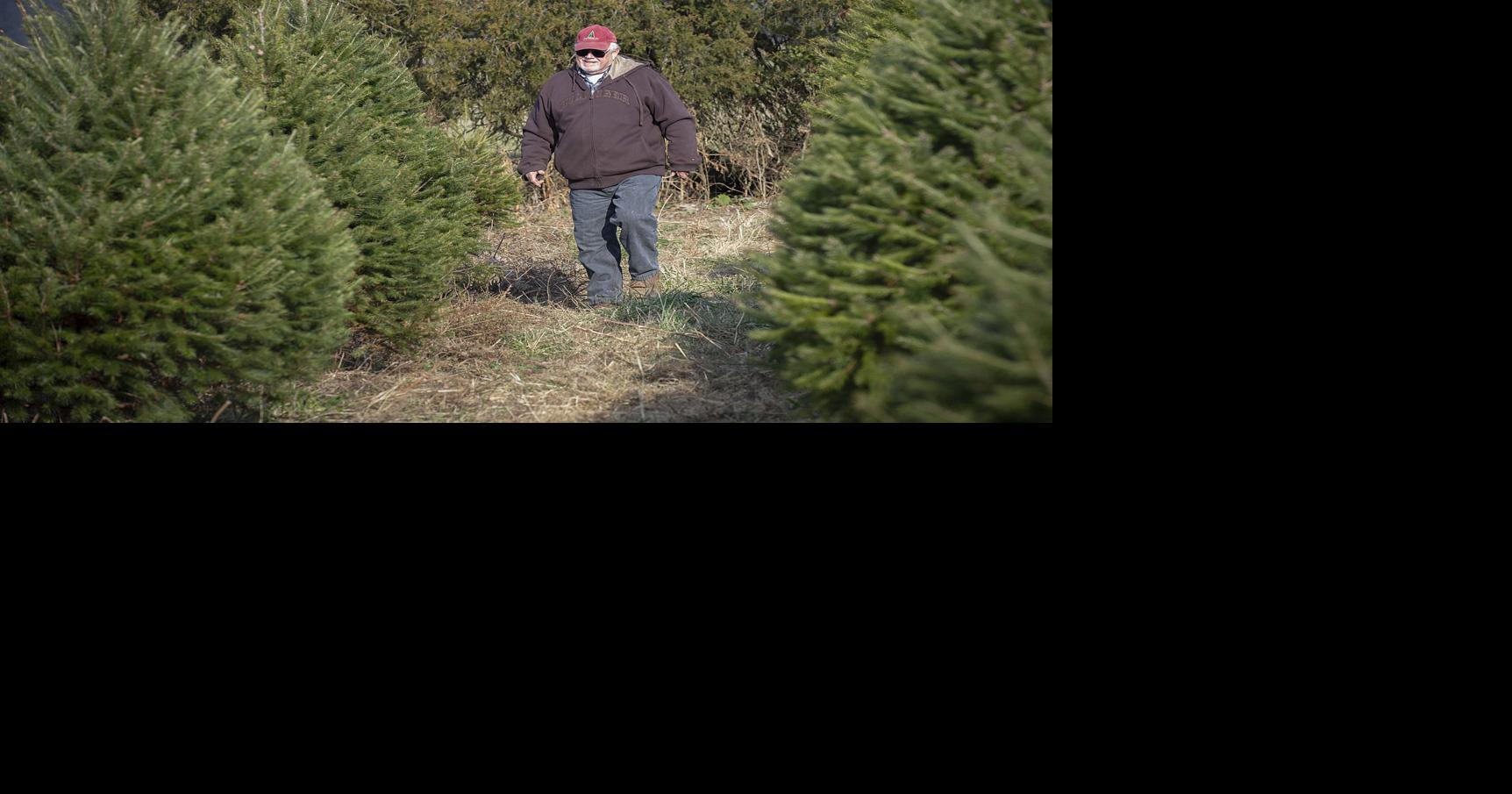 Frederick's Farms Walkersville farm keeps Christmas ever green with
