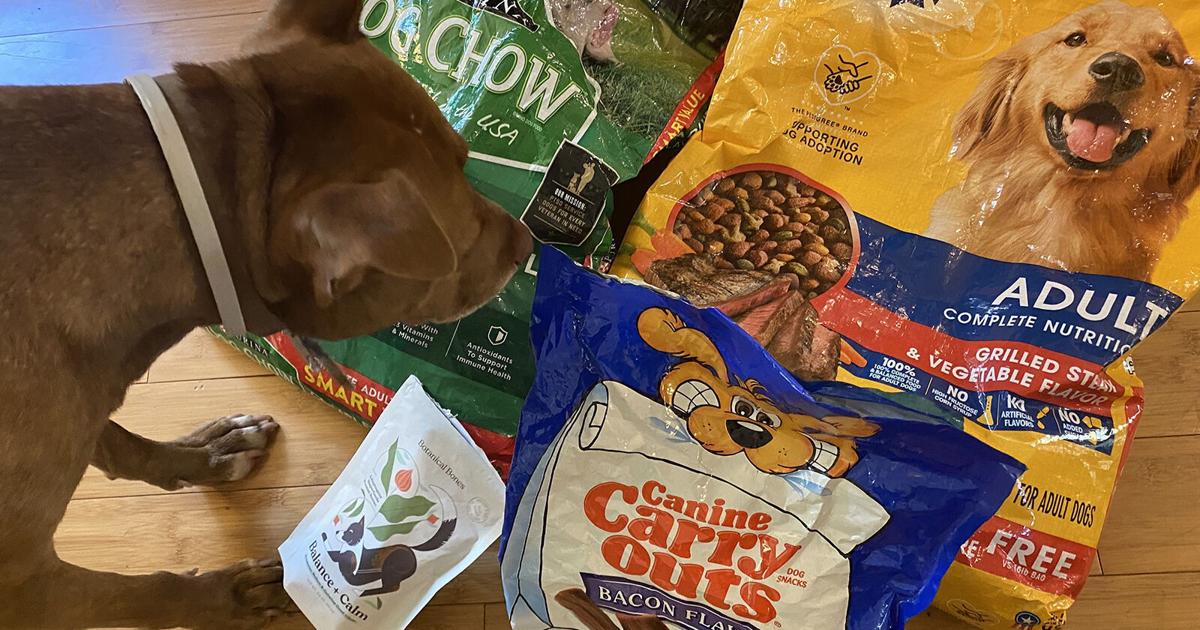 ‘Crazy dog-mom revolution’ includes obsessing over pet’s diet | ‘Crazy dog-mom revolution’ includes obsessing over pet’s diet |