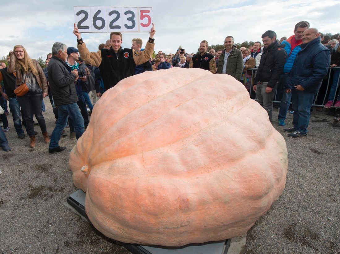 Creatures of the deep, big pumpkins | Environment | fredericknewspost.com