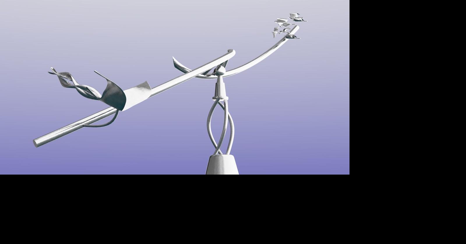 New sculpture takes flight on Carroll Creek By Tim Cook Special to The News-Post Aug 25, 2026 23 mins ago