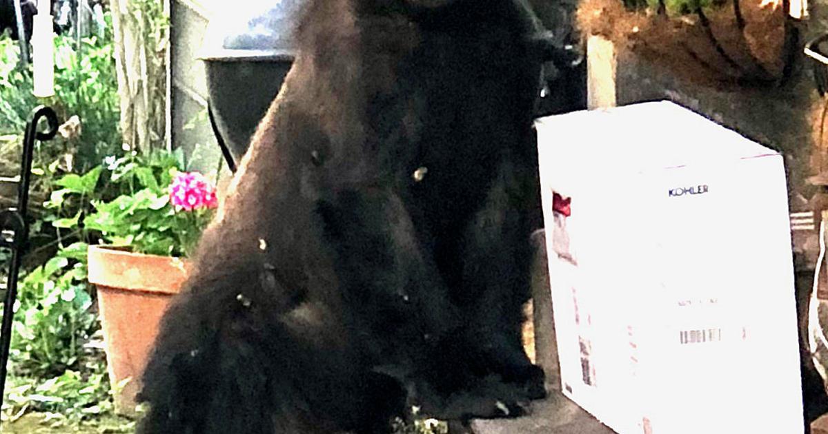 Die Wildnis Friedrichs | Kunst und Unterhaltung | fredericknewspost.com – Frederick Nachrichten-Beitrag Die Wildnis Friedrichs | Kunst und Unterhaltung | fredericknewspost.com – Frederick Nachrichten-Beitrag