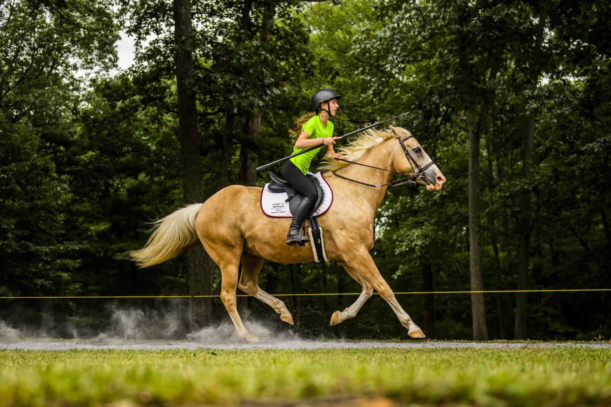 100th Petersville Farmers Club Joust