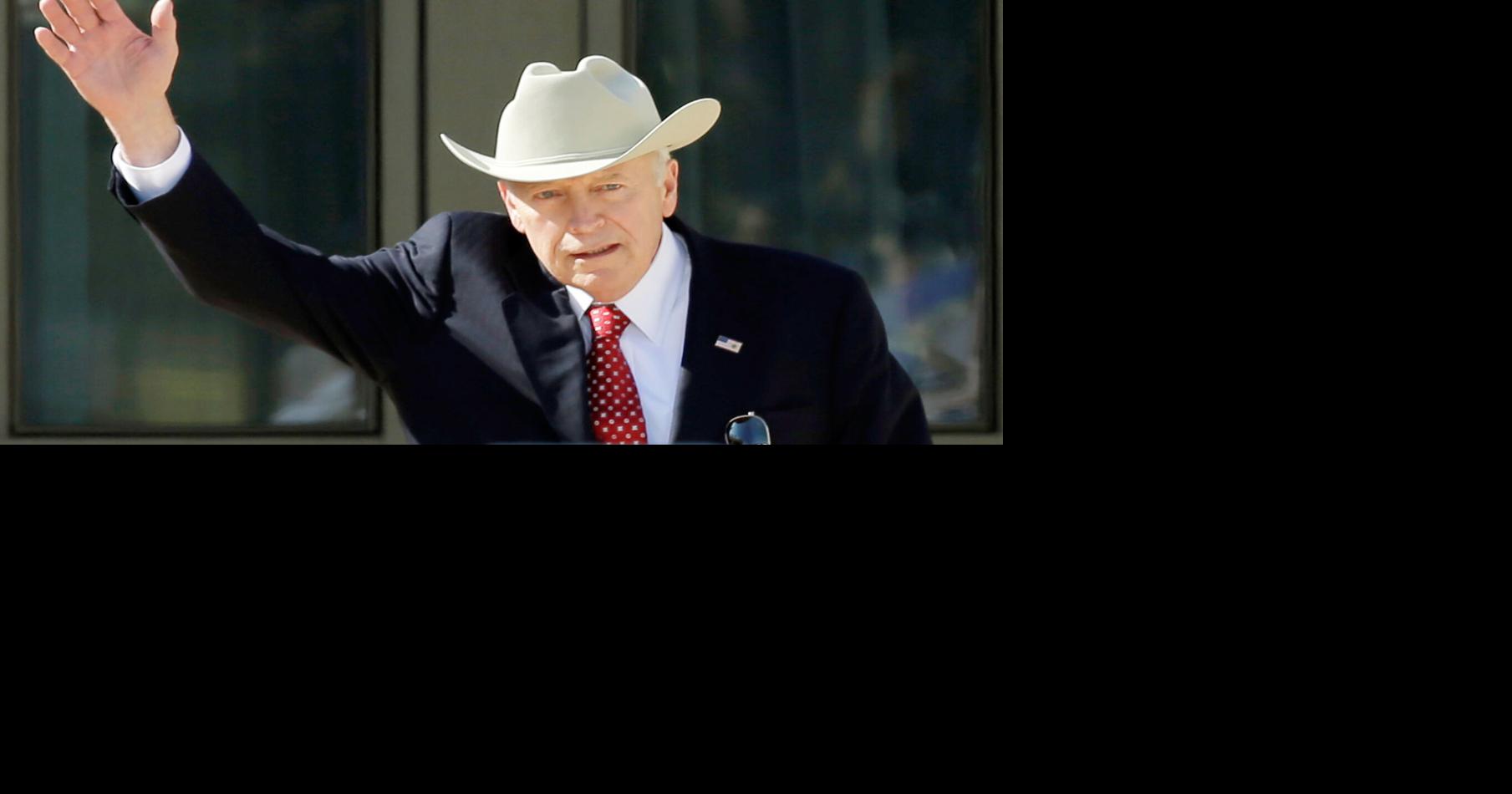 How would you rate Dick Cheney as a vice president ...