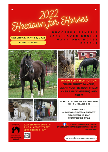 Hoedown For Horses