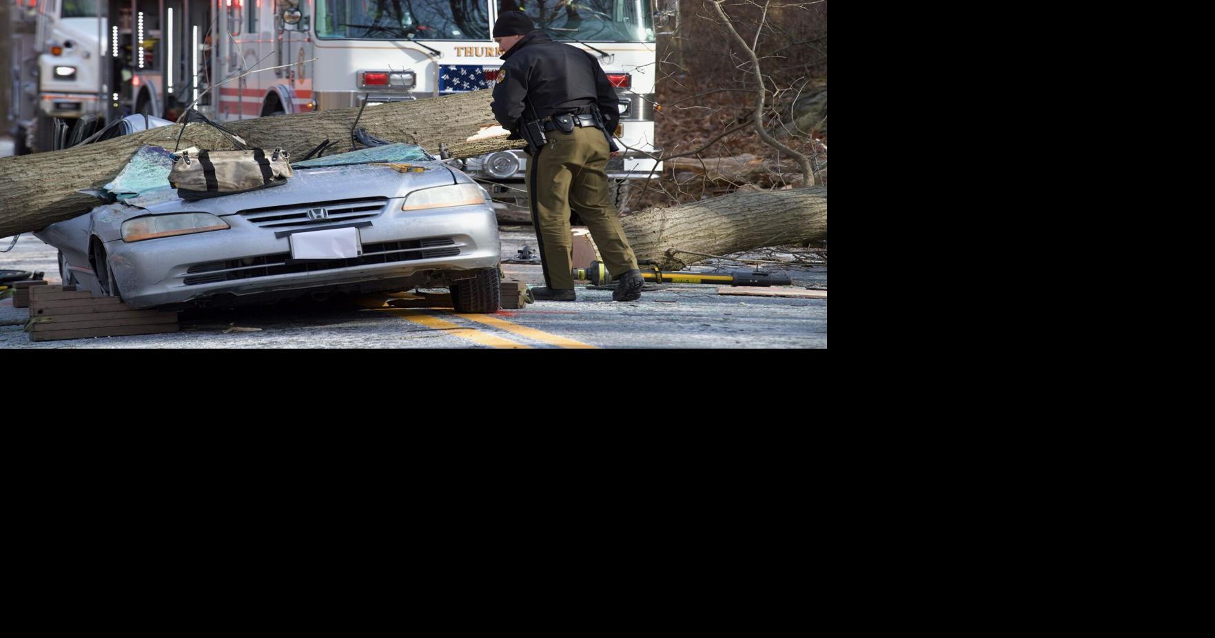 Man dies after tree falls on his car while he was driving, police say ...